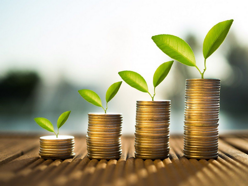 Four stacks of coins of increasing height with green seedlings growing from the top of each stack.